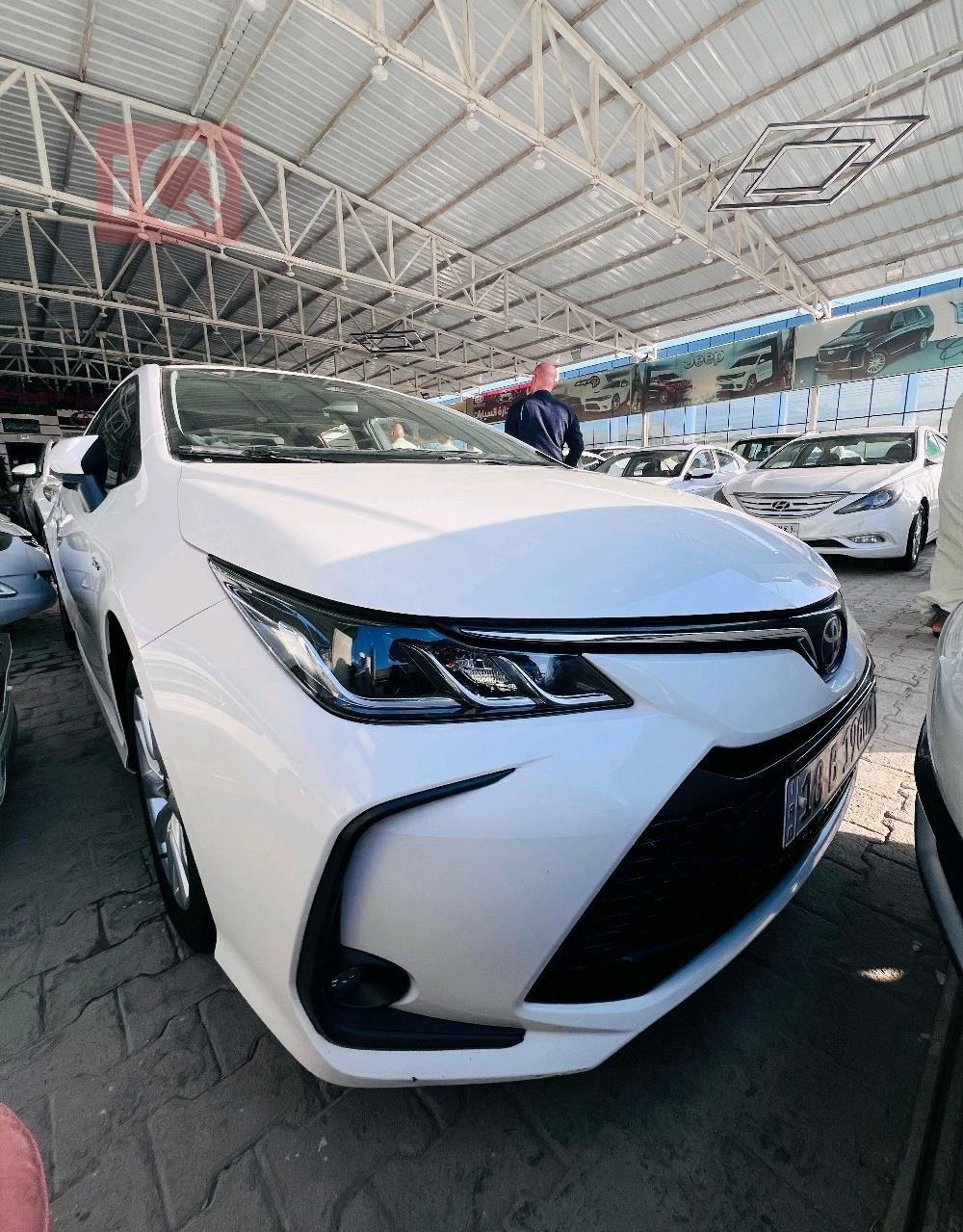 تويوتا كورولا